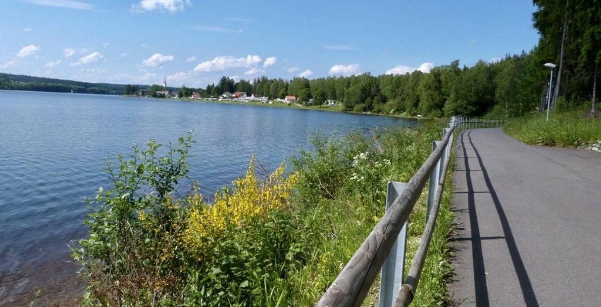 Holiday House Lipno-Slupecna Липно над Вълтава Екстериор снимка