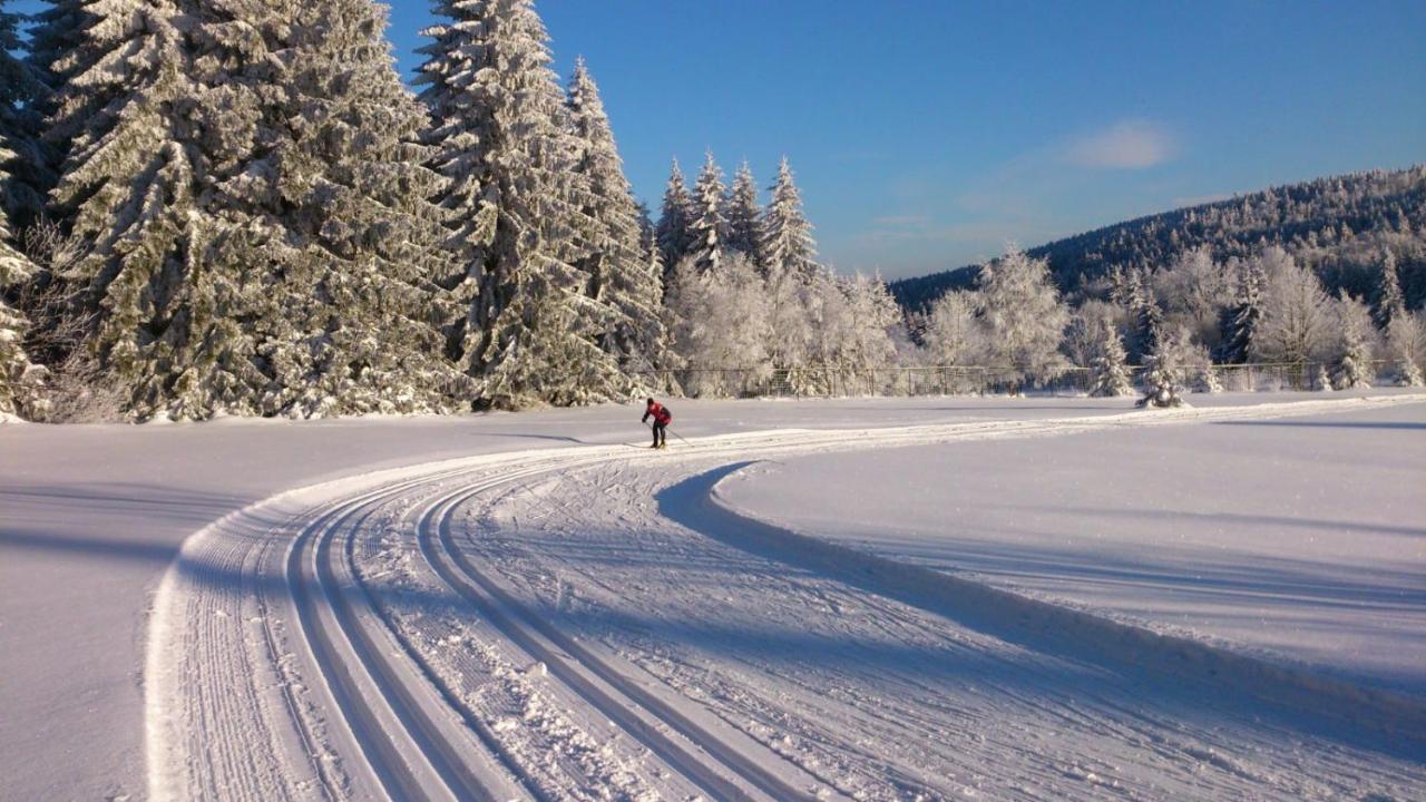 Holiday House Lipno-Slupecna Липно над Вълтава Екстериор снимка