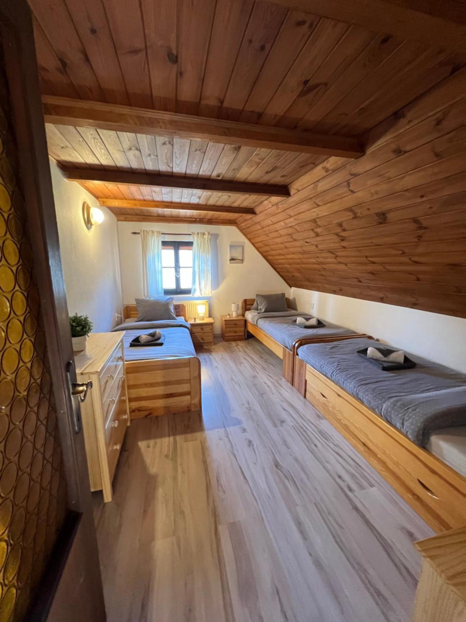 Holiday House Lipno-Slupecna Липно над Вълтава Екстериор снимка